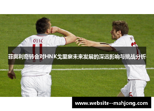 菲奥利奇转会对HNK戈里察未来发展的深远影响与挑战分析