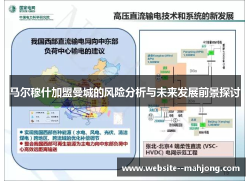 马尔穆什加盟曼城的风险分析与未来发展前景探讨