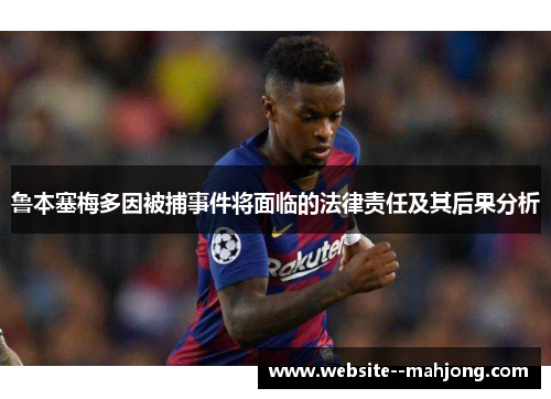 鲁本塞梅多因被捕事件将面临的法律责任及其后果分析